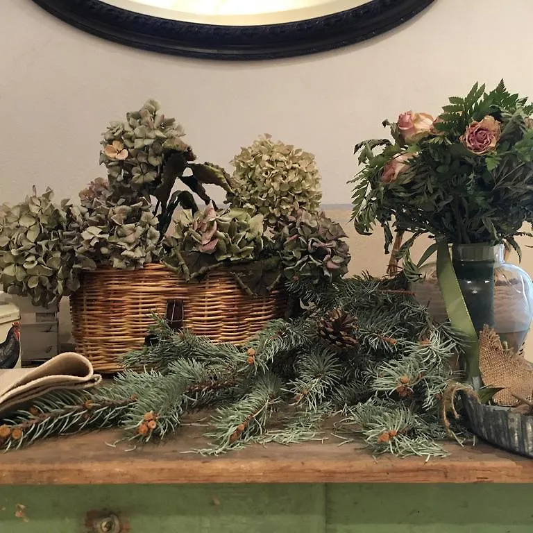 Bed & Breakfast B&B La Magnolia Ostiglia