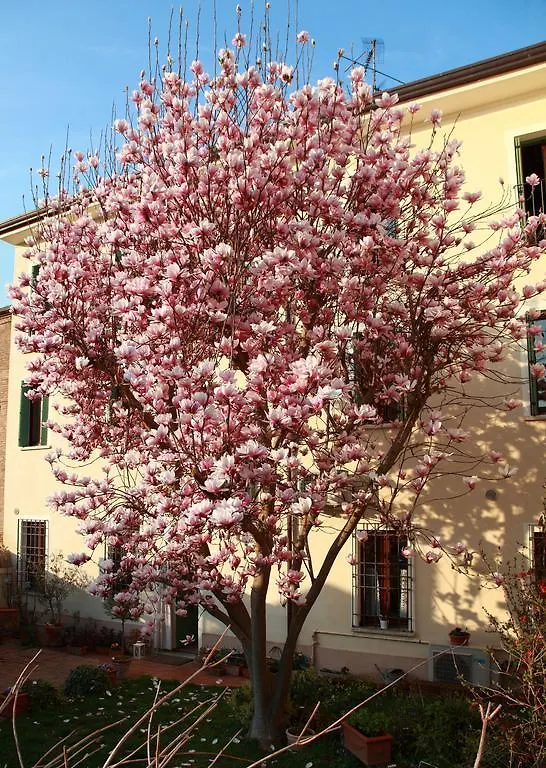 B&B La Magnolia Ostiglia 0*,